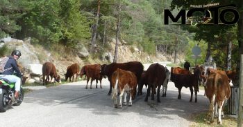 Balade moto tourisme Côte d'Azur "Vallée de la tinée et de la vésubie" – Image 4