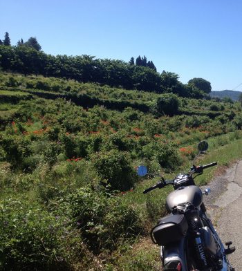 Royal Enfield Classic 500